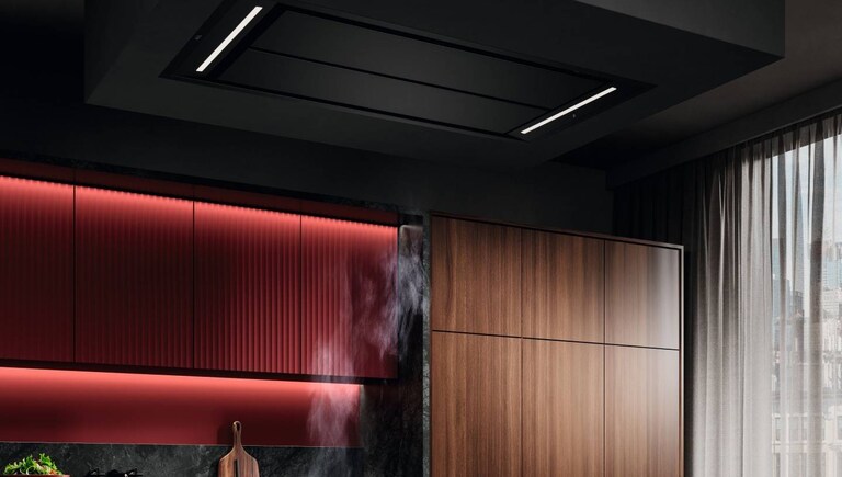 Ceiling hoods