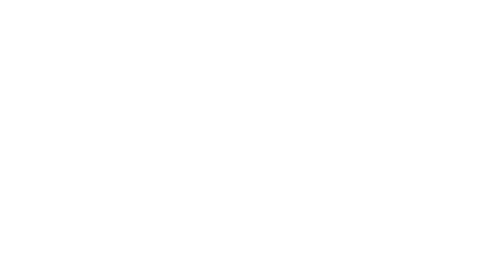 Faster icon